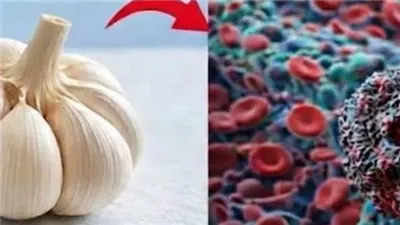 متي يصبح الثوم