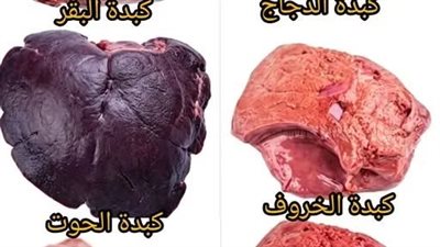 أطعمة مليئة بالفوائد الصحية... لكن لا أحد يتحدث عنها