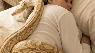 عاشت مع ثعبان ضخم 3 سنوات… ثم اكتشفت أنه لم يكن يحبها بل كان يقيسها