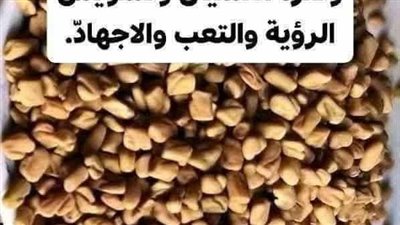 هل تعاني من التعب والدوخة وكثره النسيان اليكم الاسباب والعلاج