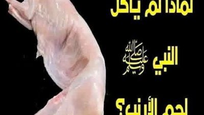 الأرانب