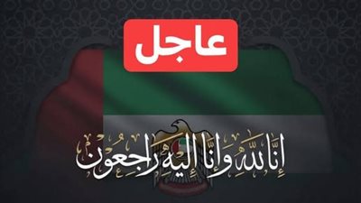 لغـز الـ 24 ساعة الأخيرة: هل مـات محمد بن زايد