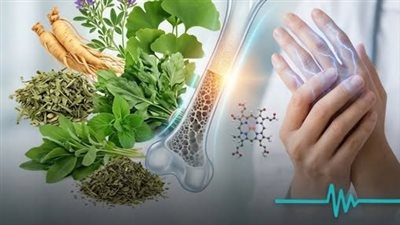 8 أعشاب تمنع نقص فتامين B12 الذي يؤدي إلى هشاشة العضام وتنميل اليدين والقدمين وصعوبة المشي