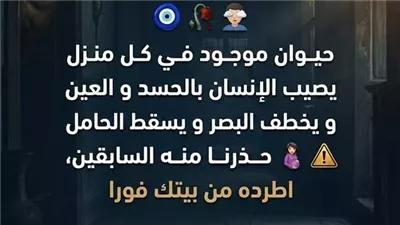 سبب خراب العديد من البيوت حيوان موجود في كل منزل